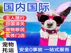 深圳宝安航空物流国际宠物托运 【国